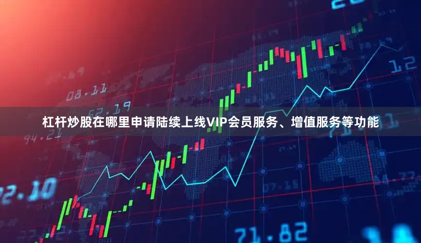 杠杆炒股在哪里申请陆续上线VIP会员服务、增值服务等功能