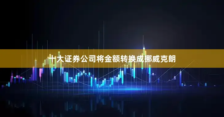 十大证券公司将金额转换成挪威克朗
